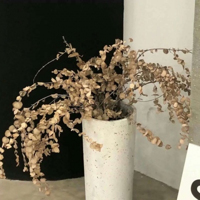 Furry插画氛围提升福瑞交流群